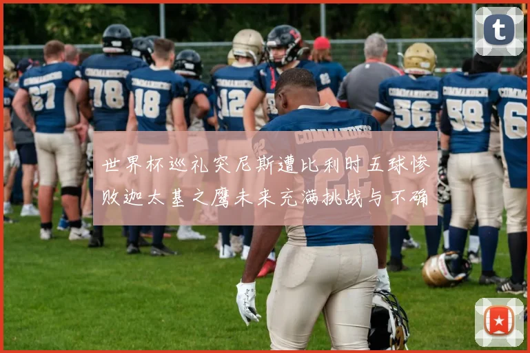 世界杯巡礼突尼斯遭比利时五球惨败迦太基之鹰未来充满挑战与不确定性