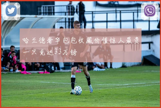 哈兰德奢华包包收藏价值惊人最贵一只竟达33万镑